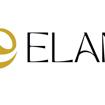 Elan Lodge Akakura 나가노 객실 사진